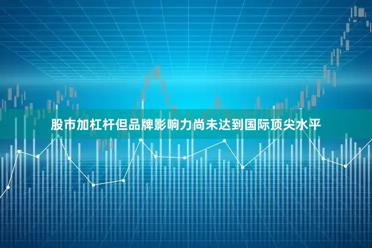 股市加杠杆但品牌影响力尚未达到国际顶尖水平